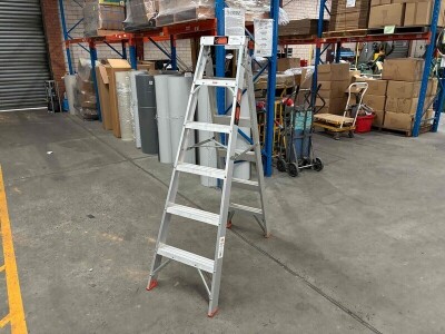 Rhino Step Ladder