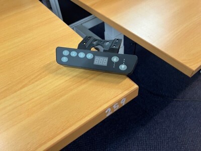 Standing Desks - 2