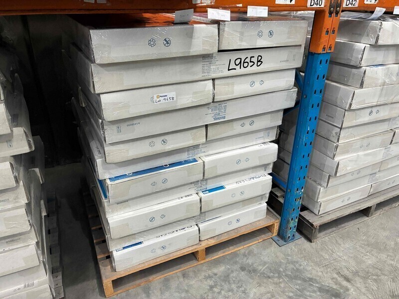 Bestway Ladder