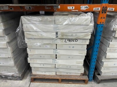 Bestway Ladder