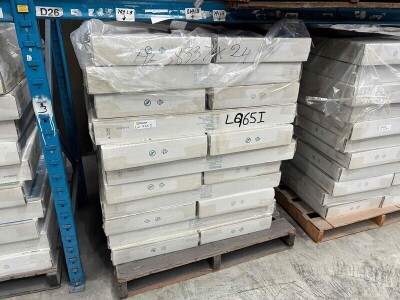 Bestway Ladder