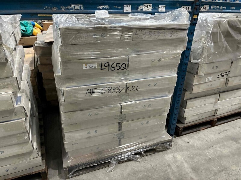 Bestway Ladder