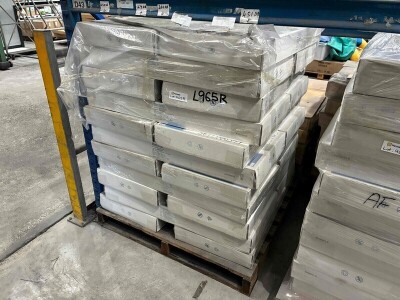 Bestway Ladder