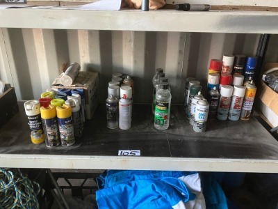 Assorted Spray Can