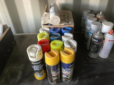 Assorted Spray Can - 2