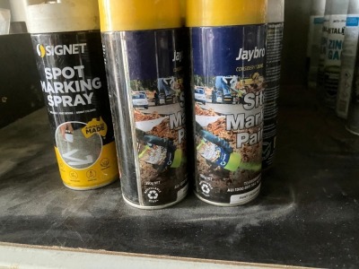 Assorted Spray Can - 3
