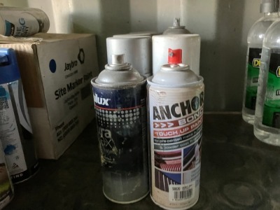 Assorted Spray Can - 4