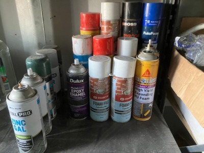 Assorted Spray Can - 7