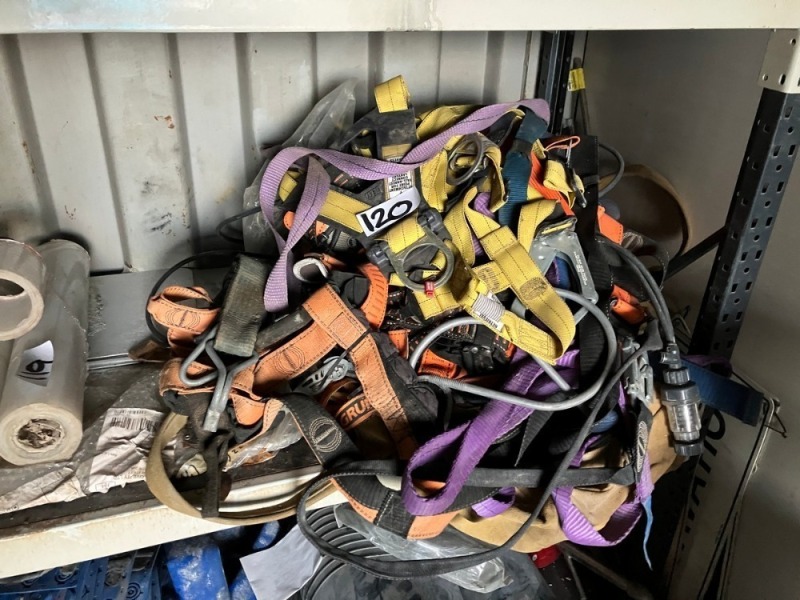 Assorted Harnesses And Straps