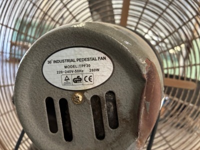 Pedestal Fan - 3