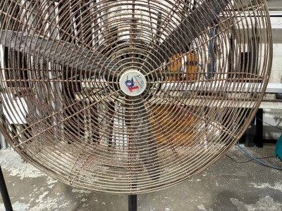 Pedestal Fan - 3