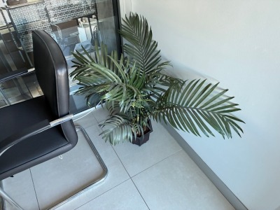 Clerical Chairs, Planters, Office Requisites and Sundry Items - 3