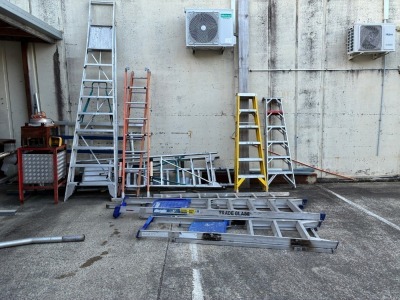 Various Platform and Extension Ladders