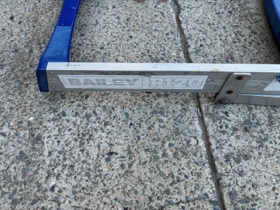 Various Platform and Extension Ladders - 4