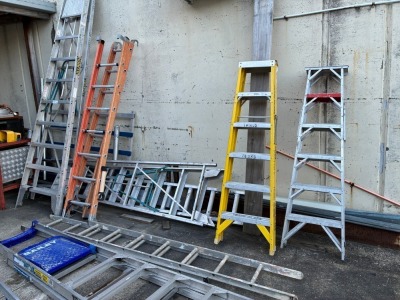 Various Platform and Extension Ladders - 5