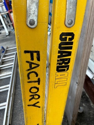 Various Platform and Extension Ladders - 7
