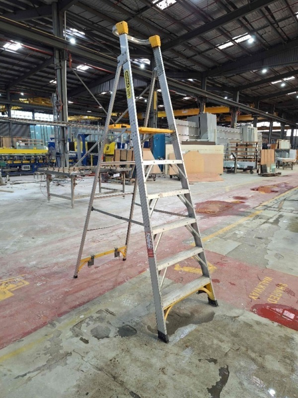 Platform Ladder